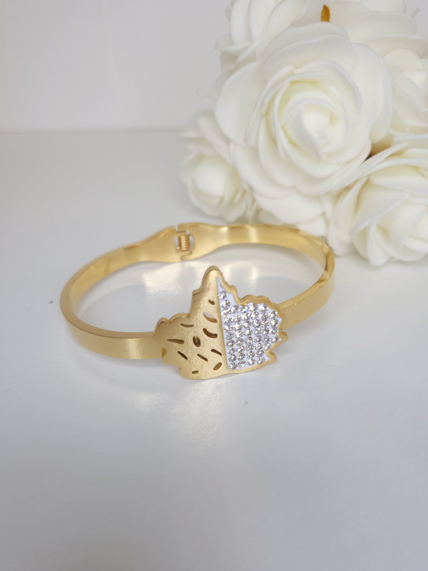 Bracelet Akilas