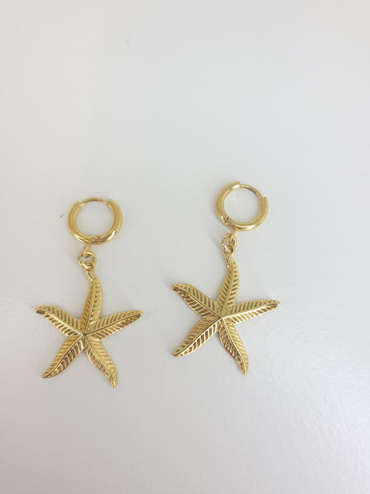 Boucles d'oreilles Aynoa